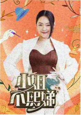 街头女战士 韩国舞蹈竞演综艺
